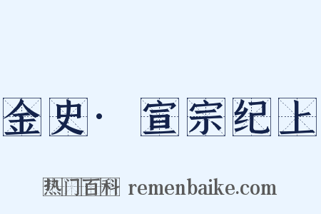 金史·宣宗纪上是什么意思的图片